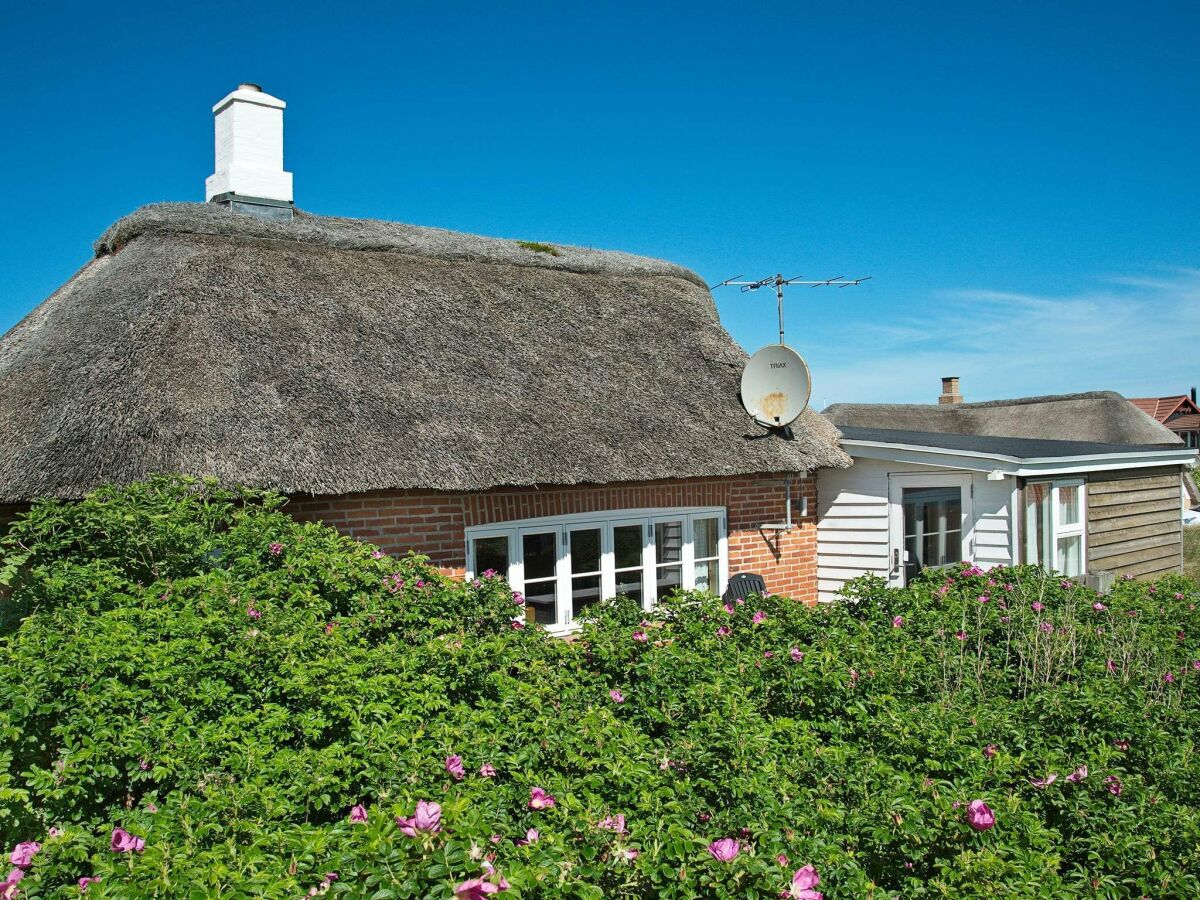 Holiday house Cozy Dune Retreat near Sea - By Traum Ferienwohnungen - Outdoor photo 2