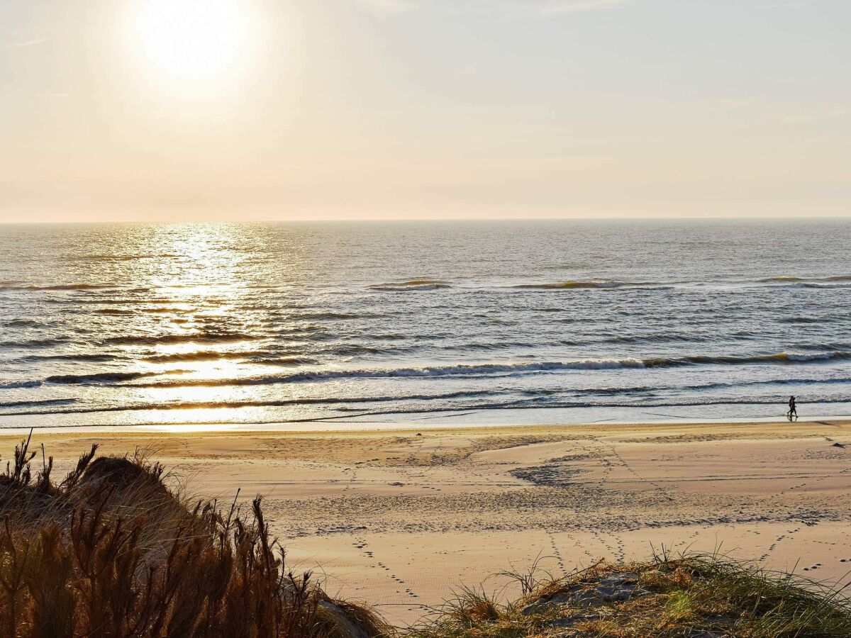Holiday house Cozy Dune Retreat near Sea - By Traum Ferienwohnungen - Outdoor photo 4