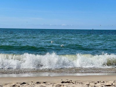 Holiday house Cozy Dune Retreat near Sea - By Traum Ferienwohnungen - Outdoor photo 22