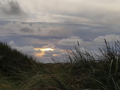 Holiday house Cozy Dune Retreat near Sea - By Traum Ferienwohnungen - Outdoor photo 32