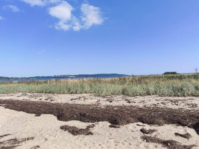 Holiday house Cozy Retreat near Beach - By Traum Ferienwohnungen - Outdoor photo 26