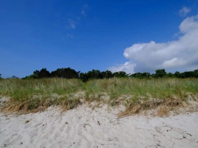 Holiday house Luxus-Ruckzug in Strandnahe -- By Traum Ferienwohnungen - Outdoor photo 32