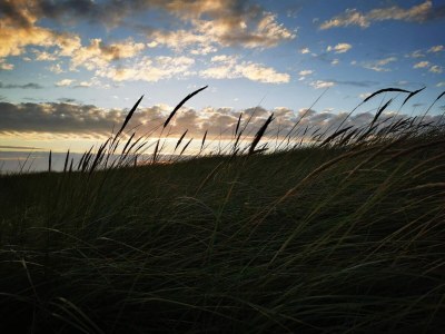 Holiday house Luxurioses Refugium in Blavand -- By Traum Ferienwohnungen - Outdoor photo 6