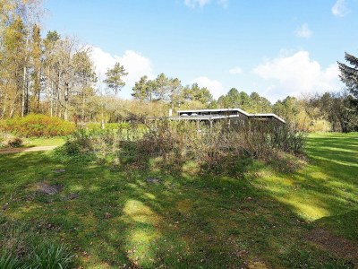 Holiday house Family-friendly Oasis - By Traum Ferienwohnungen - Outdoor photo 33