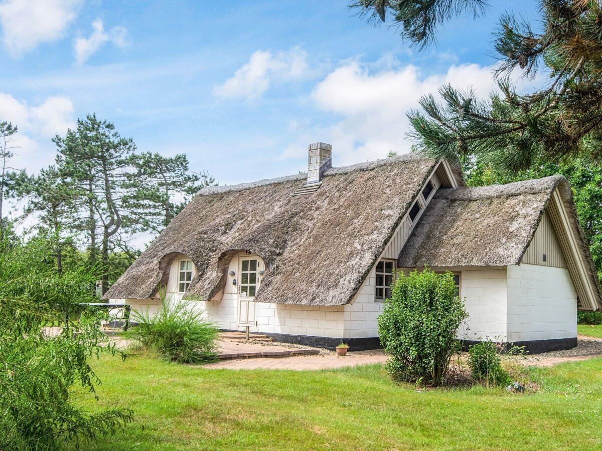 Holiday house 5 Personen Ferienhaus in Ringkøbing-By Traum