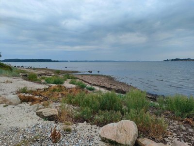Holiday house 8 person holiday home in Aabenraa-By Traum - Outdoor photo 39