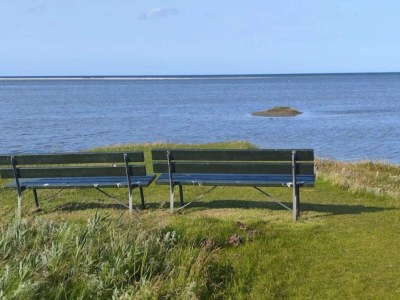 Holiday house 8 Personen Ferienhaus in Ørsted-By Traum - Outdoor photo 37