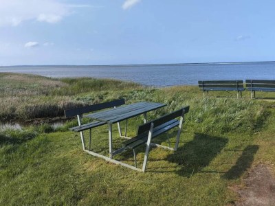 Holiday house 8 Personen Ferienhaus in Ørsted-By Traum - Outdoor photo 45