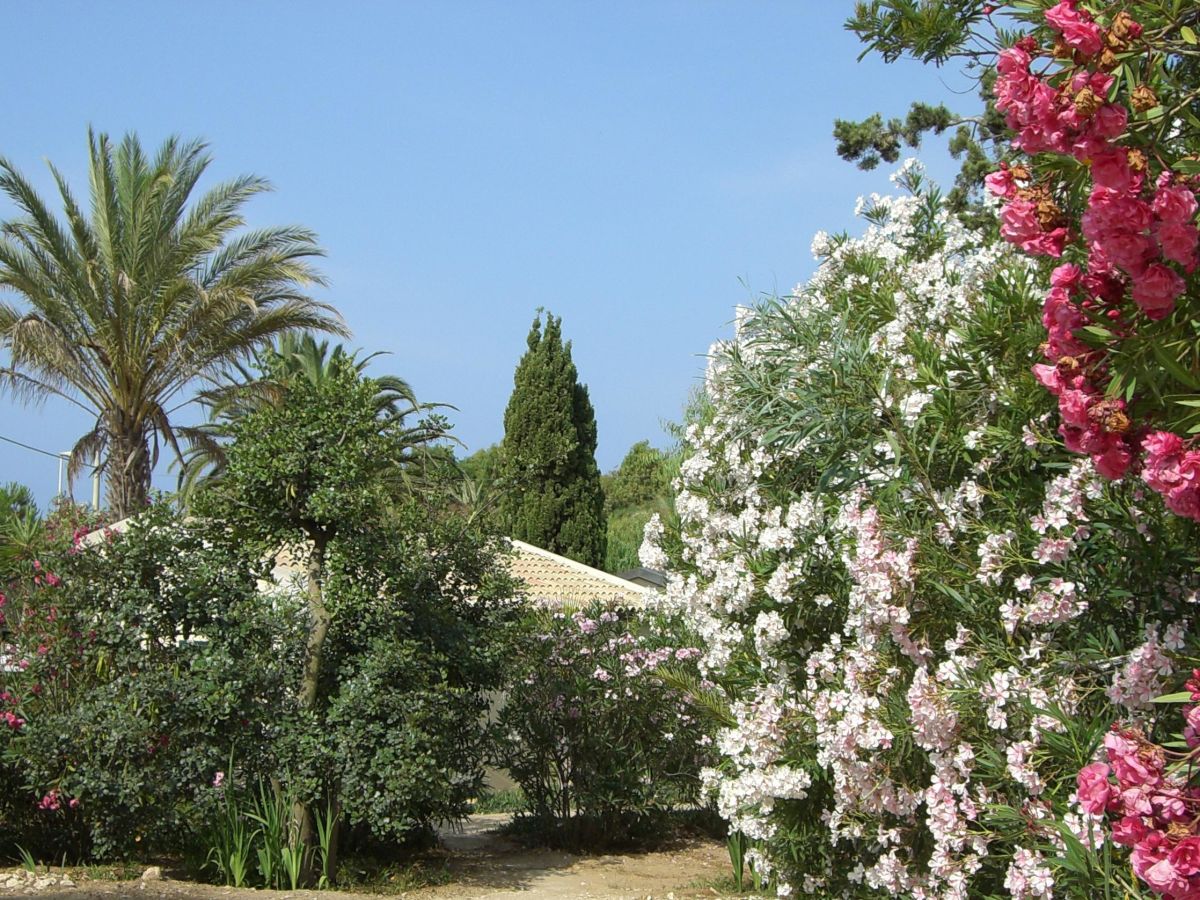 Bungalow La Perla di Sicilia - Outdoor photo 4