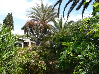 Bungalow La Perla di Sicilia - Outdoor photo 9