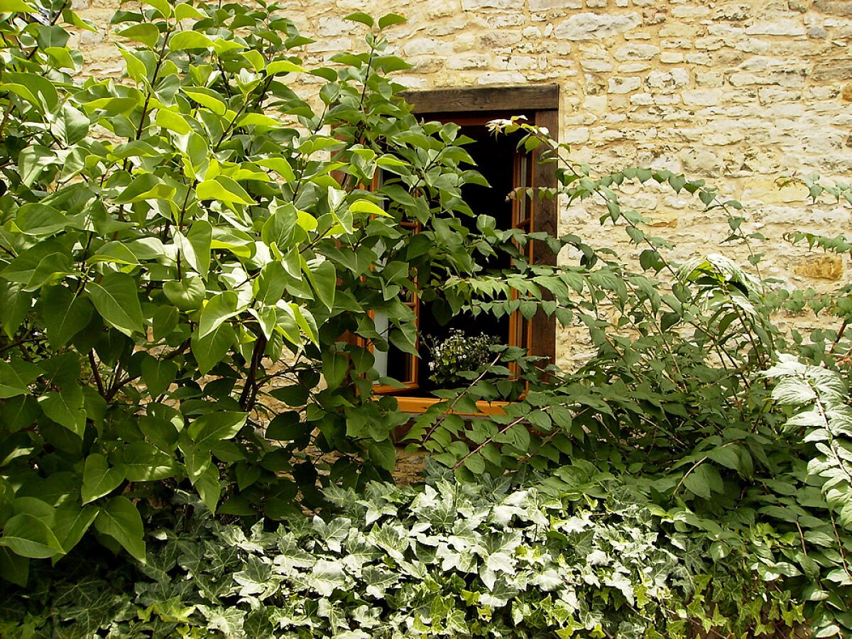 Holiday apartment Maisonette im Saal - Outdoor photo 3