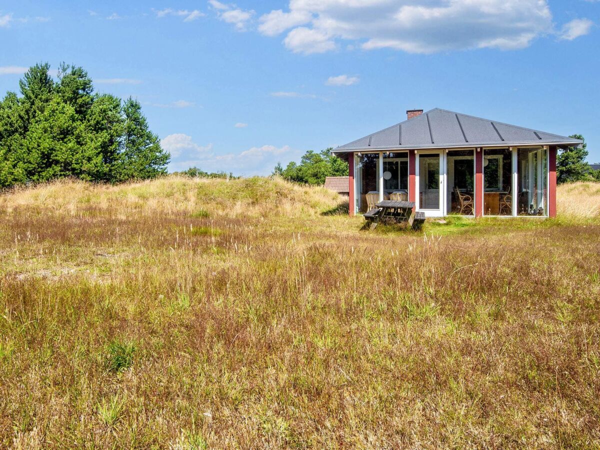 Holiday house Ruhige Oase am Strand -- By Traum Ferienwohnungen - Outdoor photo 4