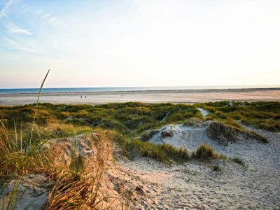Holiday house Ruhige Oase am Strand -- By Traum Ferienwohnungen - Outdoor photo 25
