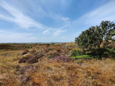 Holiday house 4 Personen Ferienhaus in Fanø-By Traum - Outdoor photo 9