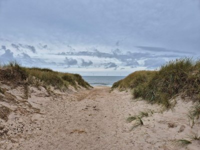 Holiday house Strand-Ruckzug mit Sauna -- By Traum Ferienwohnungen - Outdoor photo 15