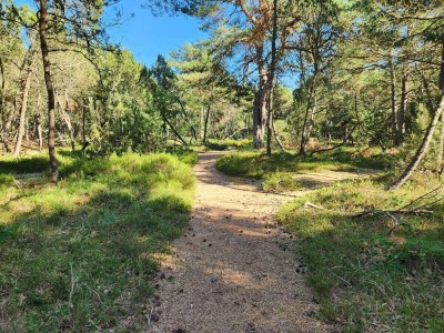 Holiday house 6 Personen Ferienhaus in Hadsund - Outdoor photo 37