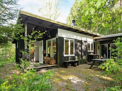 Holiday house 4 Personen Ferienhaus in Bryrup-By Traum - Holiday house