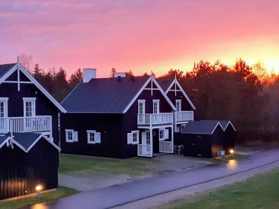 Holiday house 8 Personen Ferienhaus in Gjern-By Traum - Holiday house