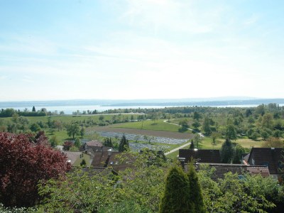 Holiday apartment 1 - Villa Sonnenschein - Environment photo 17