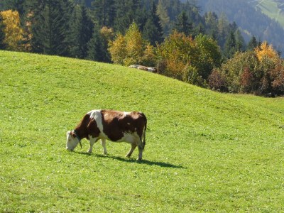 Chalet Astenstadl Zillertal - Outdoor photo 2