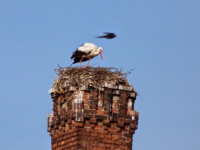 Holiday house Elbfischerhaus - Environment photo 12