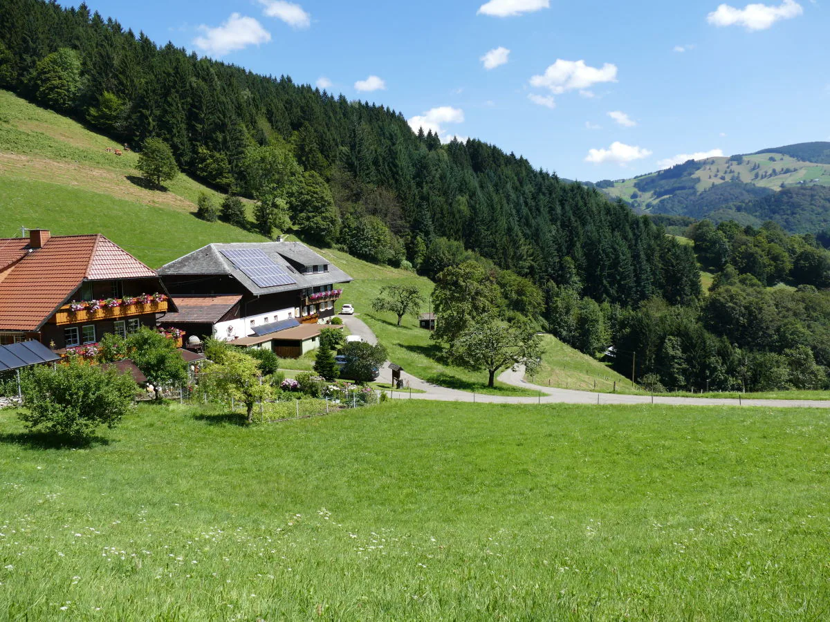 Holiday apartment Alexandra at the Gipfhof