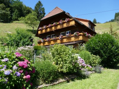 Holiday apartment Alexandra at the Gipfhof - Outdoor photo 2