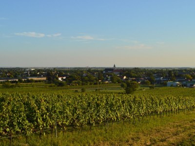 Apartment im Ferienhaus Burgenland 1 - Environment photo 27