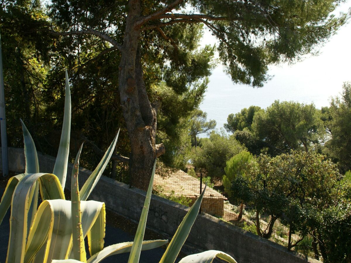 Holiday house Holiday Home in Carqueiranne by the Sea - Outdoor photo 5