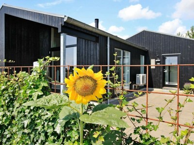 Holiday house 8 Personen Ferienhaus in Haderslev-By Traum - Outdoor photo 31
