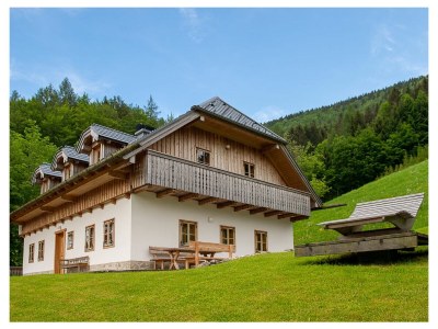 Holiday apartment Infanglalm "Attersee" in Neukirchen - Holiday apartment