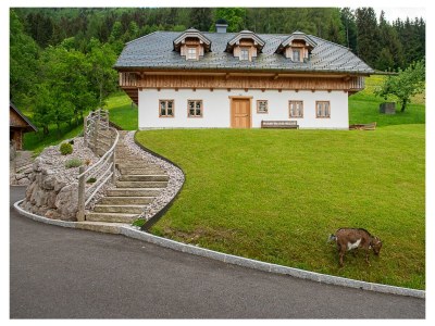 Holiday apartment Infanglalm "Attersee" - Outdoor photo 3