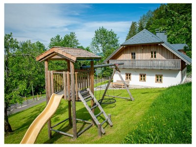 Holiday apartment Infanglalm "Attersee" - Outdoor photo 6