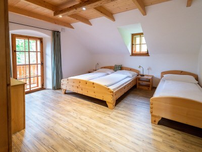 Holiday apartment Infanglalm "Attersee" - Features photo 32
