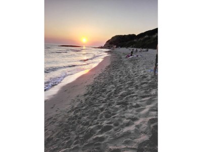 Holiday apartment Glicine - Vigna Luisa Resort - Environment photo 22