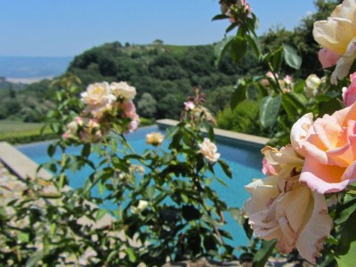 Holiday house Il Falco - Outdoor photo 6