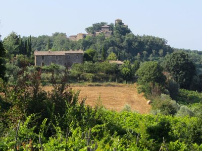 Holiday house Il Falco - Outdoor photo 12