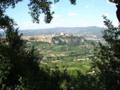 Holiday house Il Falco - Environment photo 22