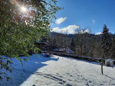 Chalet Chalet in Raon-l'Étape am See - Environment photo 28