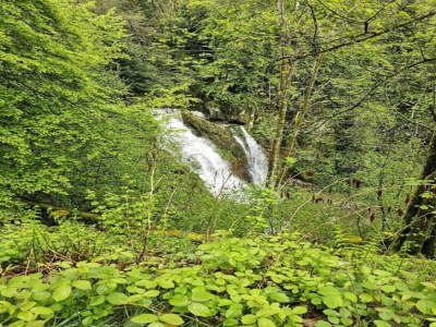 Chalet Chalet in Raon-l'Étape am See - Environment photo 35
