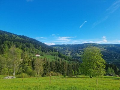 Chalet Chalet in Raon-l'Étape am See - Environment photo 37
