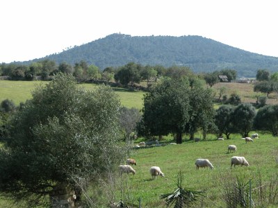 Holiday house Casita Luna - Environment photo 25