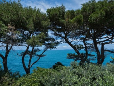 Holiday apartment Terrace by the Sea - Environment photo 26