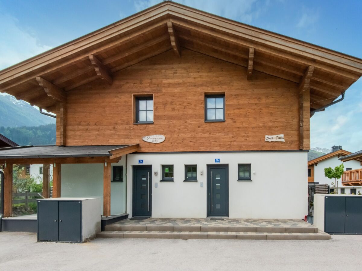 Holiday house Chalet in Niedernsill near Ski Slopes
