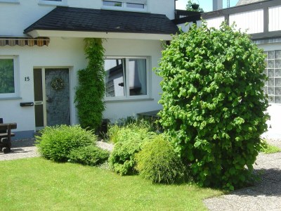 Apartment Geräumige Ferienwohnung im Sauerland - Features photo 13
