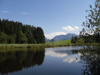 Holiday apartment Mondsee - Environment photo 31