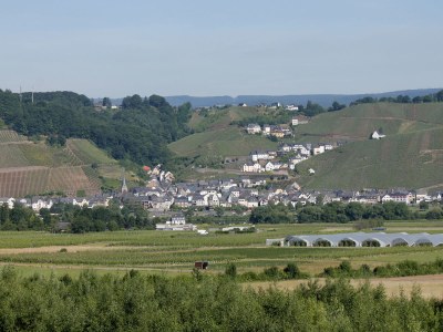 Holiday house Vinum - Environment photo 18