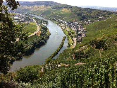 Holiday house Vinum - Environment photo 19