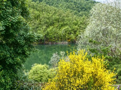Holiday house Ferienhaus in Umbrien mit Pool - Environment photo 37