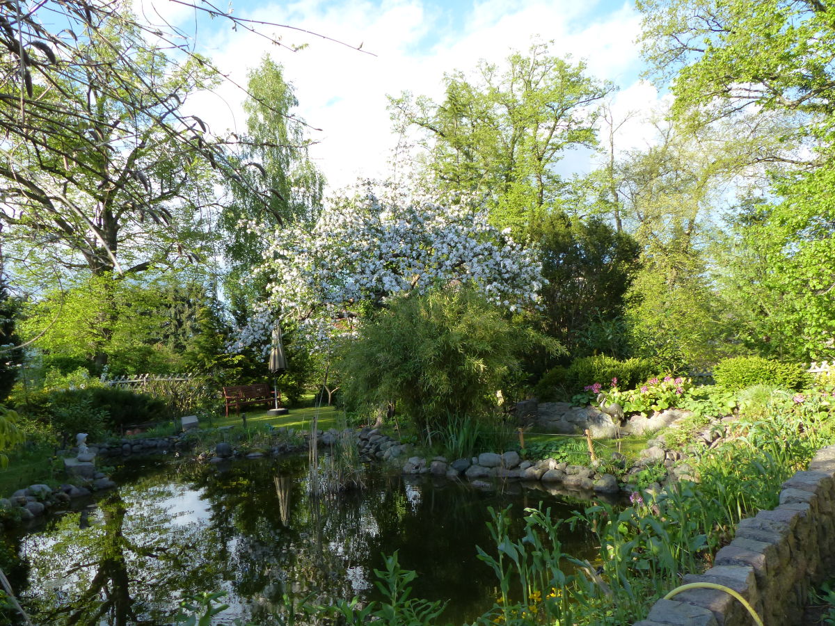 Holiday apartment "Seeadler". - Outdoor photo 2